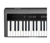  Đàn Piano Điện Kurtzman P215 