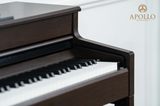  Đàn Piano Điện Apollo DP-260 