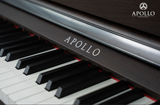  Đàn Piano Điện Apollo DP-260 
