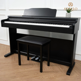  Đàn Piano Điện Apollo DP-66 