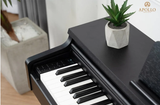  Đàn Piano Điện Apollo DP-66 