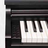  Đàn Piano Điện Apollo DP-66 