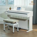  Đàn Piano Điện Apollo DP-66 