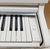  Đàn Piano Điện Apollo DP-66 