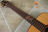  Thuận Guitar OT-07 GINKO LEAF 