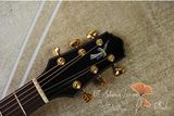  Thuận Guitar OT-07 GINKO LEAF 