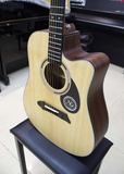  Đàn Guitar Acoustic NG G168 ( Dáng D) 