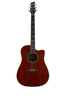  Đàn Guitar Acoustic NG GT800NA 