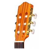  Đàn Guitar Classic Cordoba C1M 