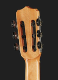  Đàn Guitar Classic Tây Ban Nha Cordoba Fusion 5 (Tích Hợp Pickup Fishman's Sonitone) 