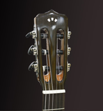  Đàn Guitar Classic Tây Ban Nha Cordoba Fusion 5 Limited (Tích Hợp Pickup Fishman's Sonitone) 