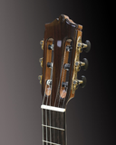  Đàn Guitar Classic Martinez MC-20S 