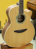  Đàn Guitar Acoustic Everest E50-HDM 