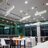  Spring Production Office 