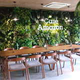  Amazon Coffee 