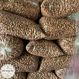  Hạt Điều lụa - loại ĐB hút chân không 