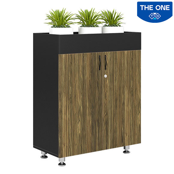 Tủ gỗ BRI1000-2T2