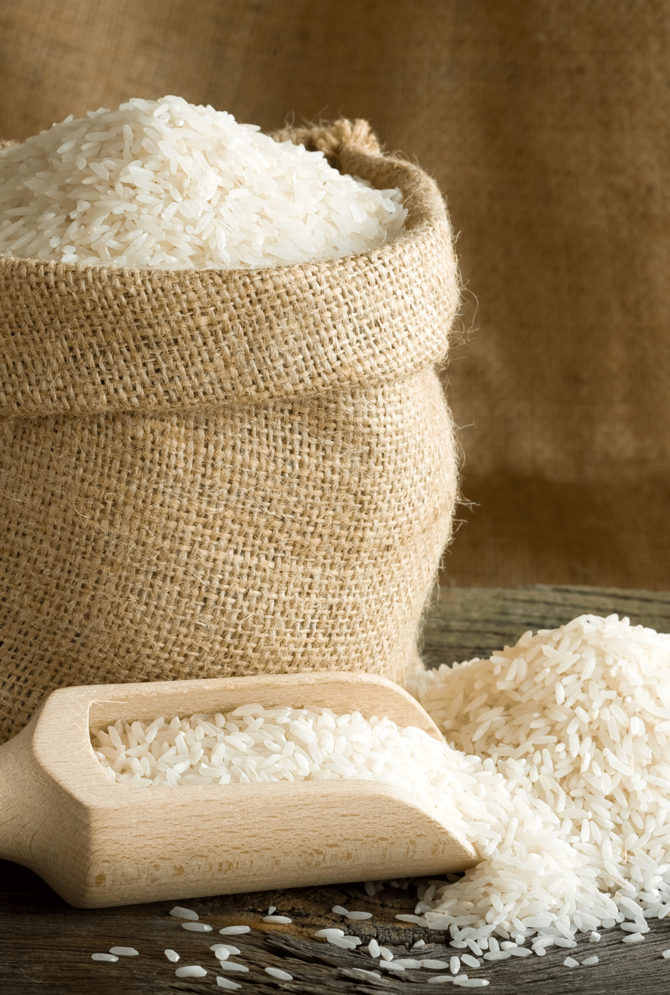 Syke Rice Milky Rice Base – Nezéum