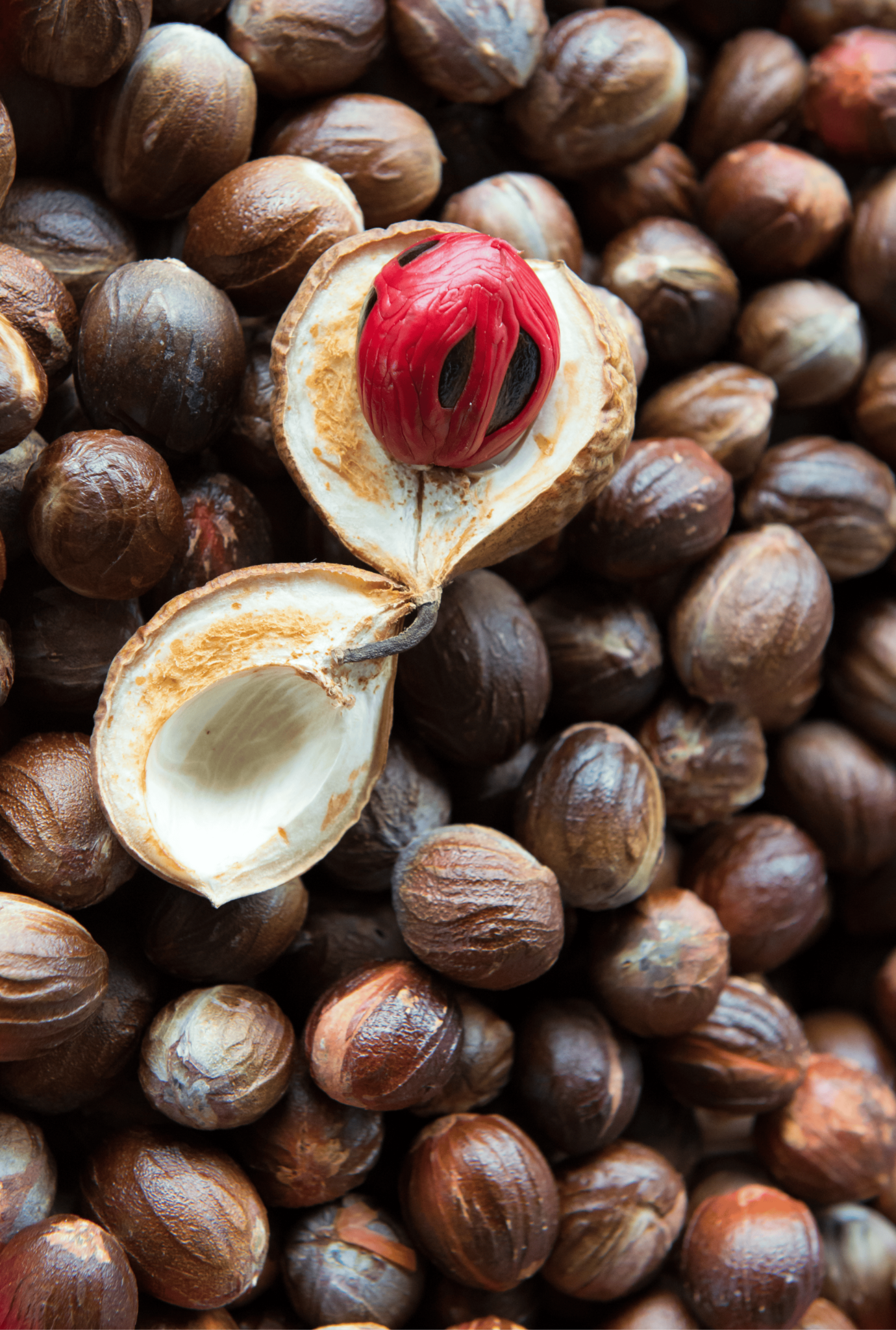 Nutmeg CO2, Total – Nezéum