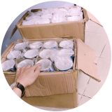  Ly sứ huyền ảo in theo yêu cầu 