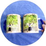  Ly sứ huyền ảo in theo yêu cầu 