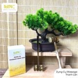  Bộ Dụng Cụ Massage Sừng Trâu gồm: mát xa mũi và đầu, mát xa tim, thanh lăn, mát xa cổ vai gáy, bút bấm huyệt – Giải Pháp Chăm Sóc Sức Khỏe Tự Nhiên, An Toàn Ngay Tại Nhà 