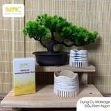  Bộ Dụng Cụ Massage Sừng Trâu Gồm mát xa mũi, mát xa tim, cày bi, bút bấm huyệt, mát xa đầu – Liệu Pháp Chăm Sóc Sức Khỏe Tự Nhiên Tại Nhà 