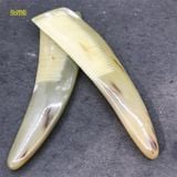  Lược sừng trâu dáng liềm Mnistore màu trắng kích thước 16-20cm lược chải tóc massage đầu giúp giảm căng thẳng mệt mỏi 