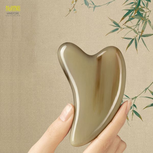 Massage Mặt Sừng Trâu Có Tác Dụng Gì? Lợi Ích Trị Liệu Chuyên Sâu