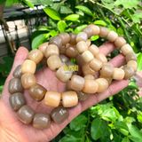  Vòng tay sừng đốt trúc màu trắng kích thước 1,2-2cm phù hợp với mọi kiểu dáng thời trang mang đến phú quý và trường tồn Phụ Kiện Kiềng 