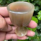  Ly sừng uống rượu hàng ngọn kích thước 3,8cmx3,2cm ly uống rượu/uống nước cho gia đình 
