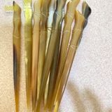  Châm cài tóc, châm làm bằng sừng trâu kích thước 14-18cm sang trọng lịch lãm quà tặng ý nghĩa của người Việt Nam 