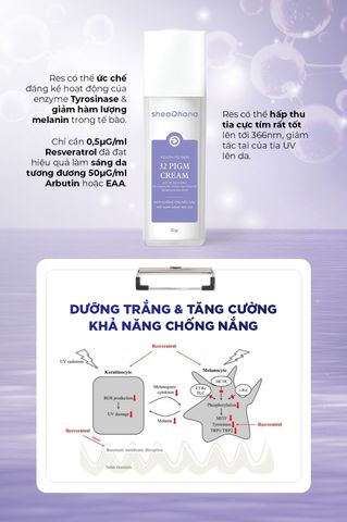 32 PIGM CREAM – Kem dưỡng chuyên sâu mờ nám sáng mịn da