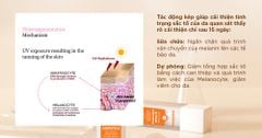 32 PIGM AMPOULE – Tinh chất chuyên sâu làm mờ thâm nám đốm nâu