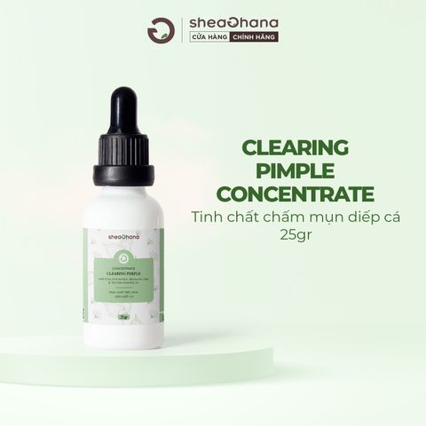 CONCENTRATE CLEARING PIMPLE - Tinh chất tiêu viêm mụn diếp cá