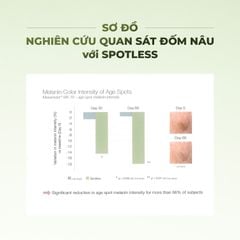 SPOT OUT BEAUTY CONCENTRATE – Tinh chất mờ thâm nám làm đều màu da