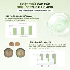 SPOT OUT BEAUTY CONCENTRATE – Tinh chất mờ thâm nám làm đều màu da
