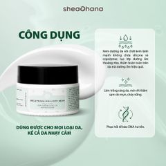 BRIGHTENING HEALTHY CREAM – Kem dưỡng sáng da mờ thâm sạm