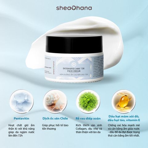 INTENSIVE CARE 72H FACE CREAM – Kem dưỡng ẩm chuyên sâu 72h