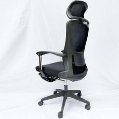 Ghế Công Thái Học  LHN04 - Sức Khỏe và Sự Thoải Mái Cho Mọi Người