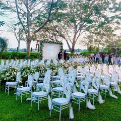Ghế Tiffany – Ghế trang trí sự kiện Cho Tiệc Cưới, Bãi Biển và Sinh Nhật