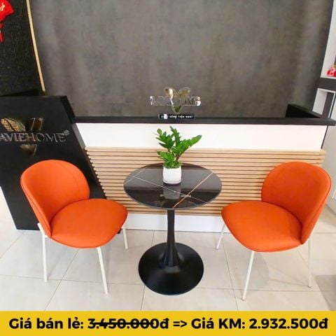 Bộ Bàn Ghế Cafe DPB9B + RUG01 – Sang Trọng, Hiện Đại, Bền Đẹp