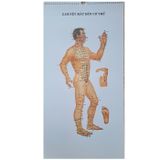  TRANH CHÂM CỨU GIẢI PHẪU THỰC DỤNG 