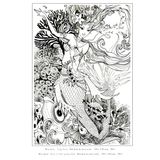  Sách - Vùng Đất Thần Tiên (Bìa Mềm) 