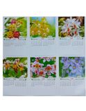  Lịch Lò Xo 7 tờ ( HT49 ) 2025 - Orchid Flower 