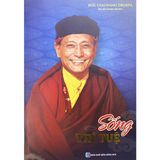  Sống Trí Tuệ 