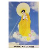  Nghi Thức Tịnh Độ 