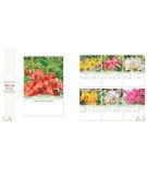  Lịch Lò Xo 7 tờ 2025 - HOA LAN ( MT26 ) 