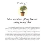  Sách - Những Loại Cây Dễ Trồng Thành Bonsai Trong Nhà 