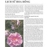  Sách - Kỹ Thuật Trồng Và Tạo Các Loại Hoa Hồng 